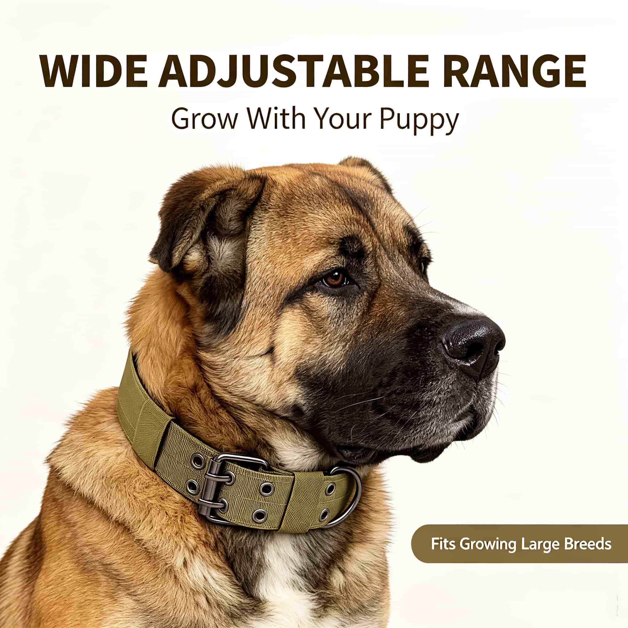 Outdoor Hunting Dog Collar - Collier tactique camouflage pour chien, en