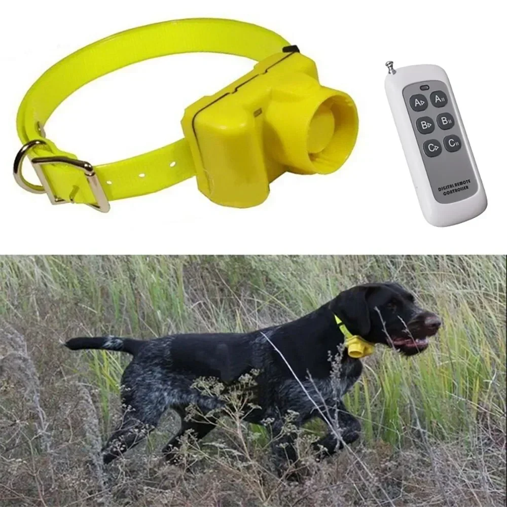 Colliers de dressage pour chie - Outdoor Hunting Dog Collar avis et prix