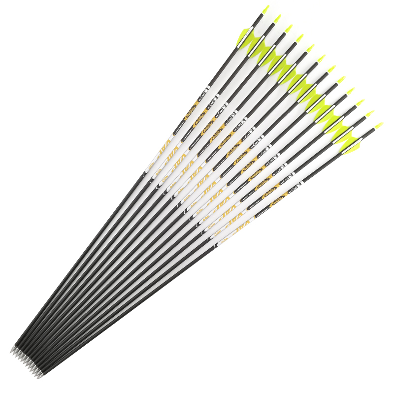 Tir à l'arc colonne vertébrale - Arrow Carbon Shaft avis et prix