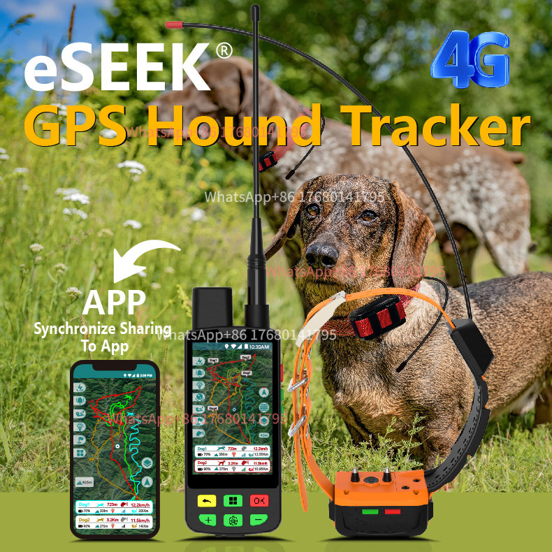 Collier GPS pour chien de chas - Outdoor Hunting Dog Collar avis et prix