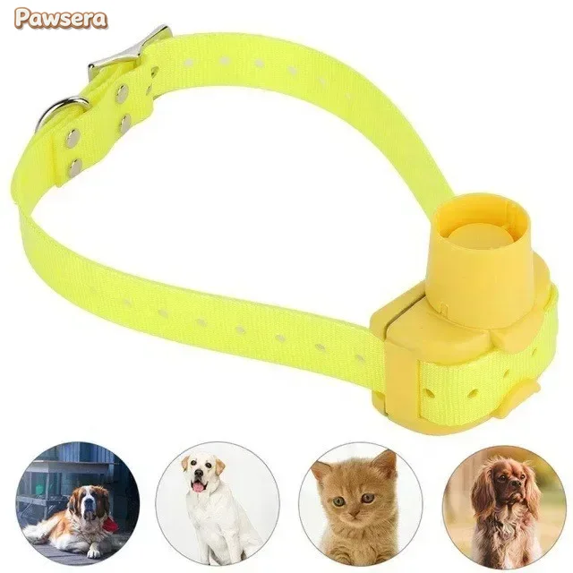 Collier de dressage pour chien - Outdoor Hunting Dog Collar avis et prix
