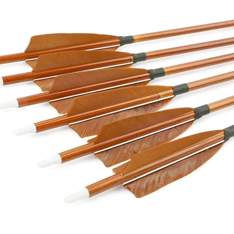 6/12 pièces tir à l'arc flèche - Arrow Carbon Shaft avis et prix
