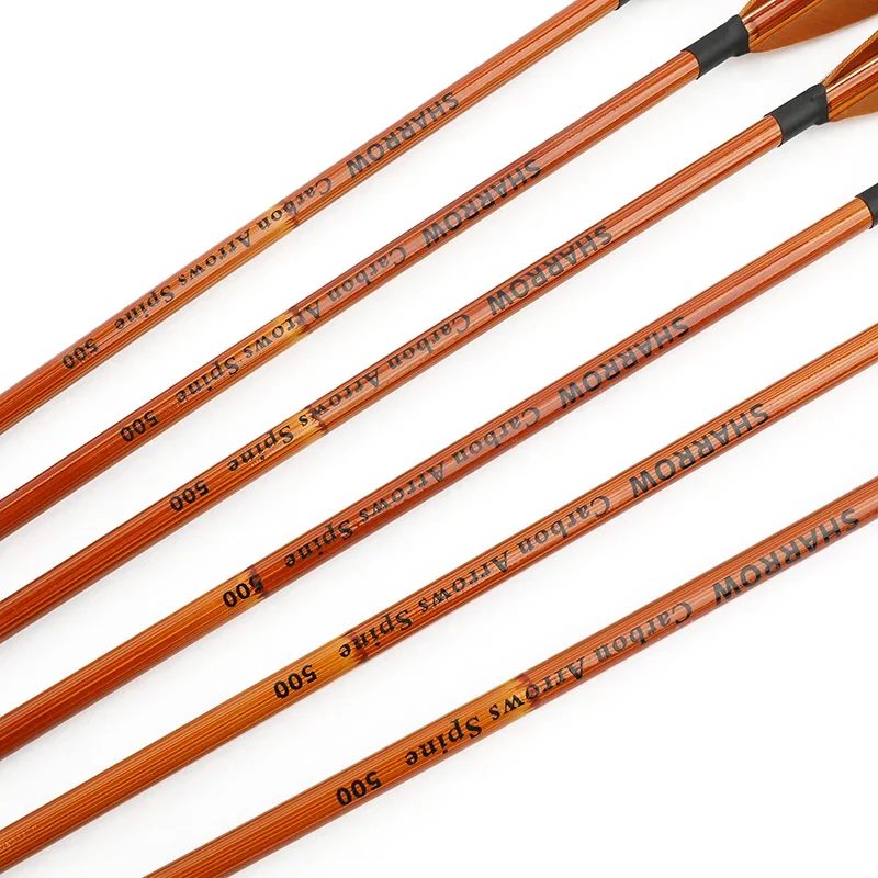 6/12 pièces tir à l'arc flèche - Arrow Carbon Shaft avis et prix
