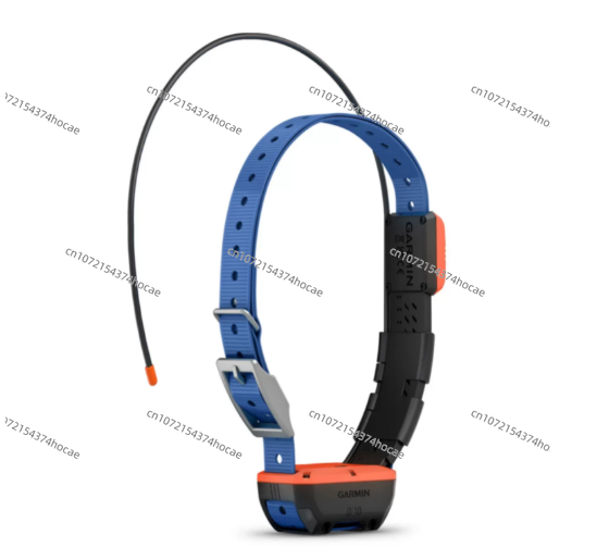 Équipement de localisation pou - Outdoor Hunting Dog Collar avis et prix