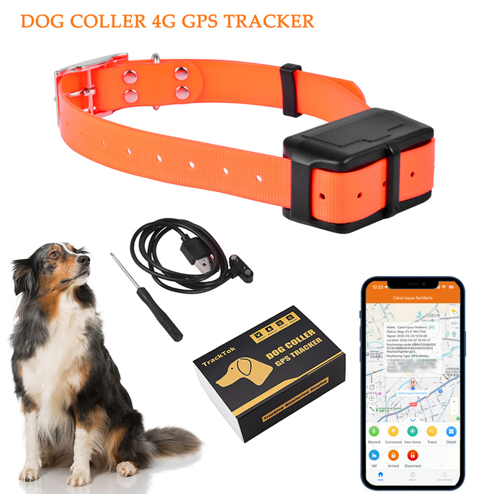 CY09A – traceur GPS Portable p - Outdoor Hunting Dog Collar avis et prix
