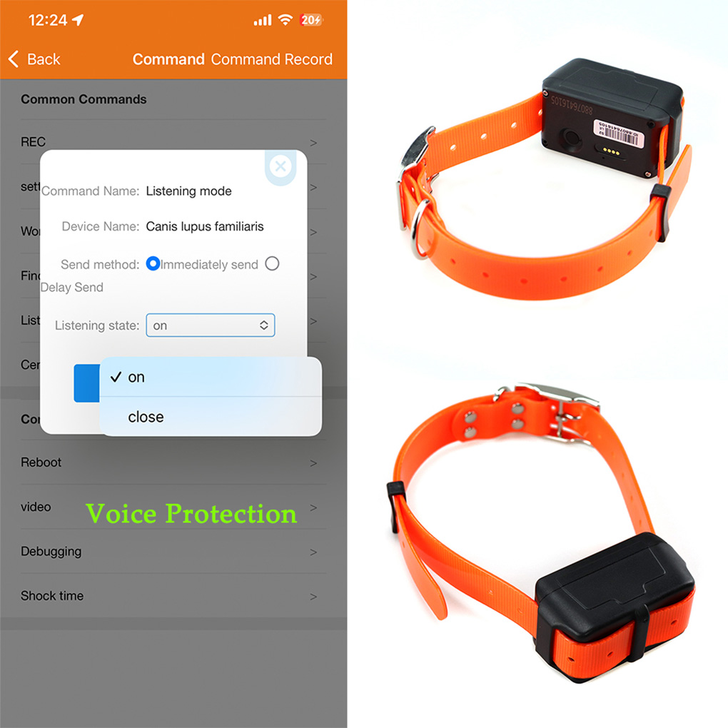CY09A – traceur GPS Portable p - Outdoor Hunting Dog Collar avis et prix