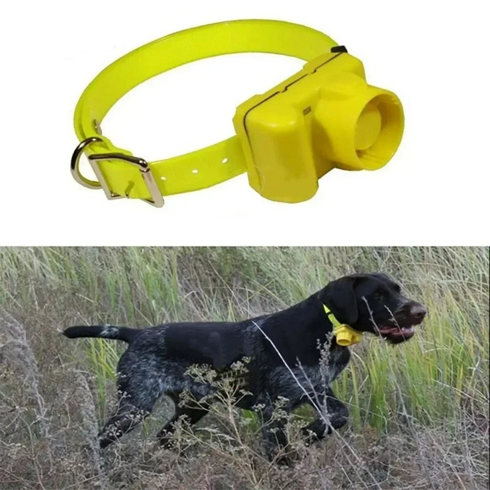 Colliers de bip pour chien de  - Outdoor Hunting Dog Collar avis et prix