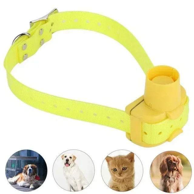 Collier de bip de chien de cha - Outdoor Hunting Dog Collar avis et prix