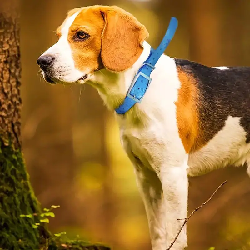 Collier de sécurité pour anima - Outdoor Hunting Dog Collar avis et prix