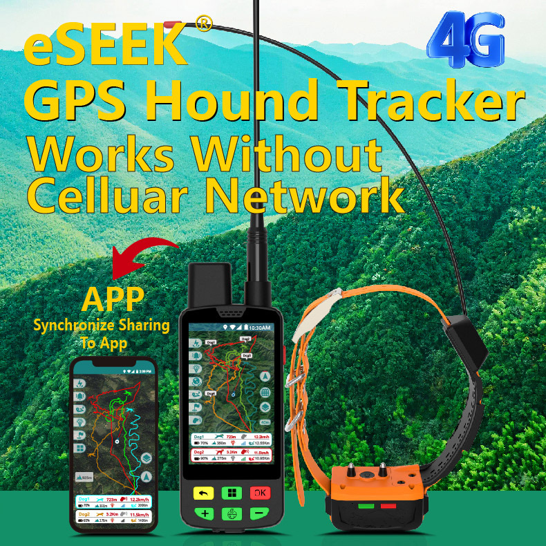 Collier GPS 4G pour chien avec - Outdoor Hunting Dog Collar avis et prix